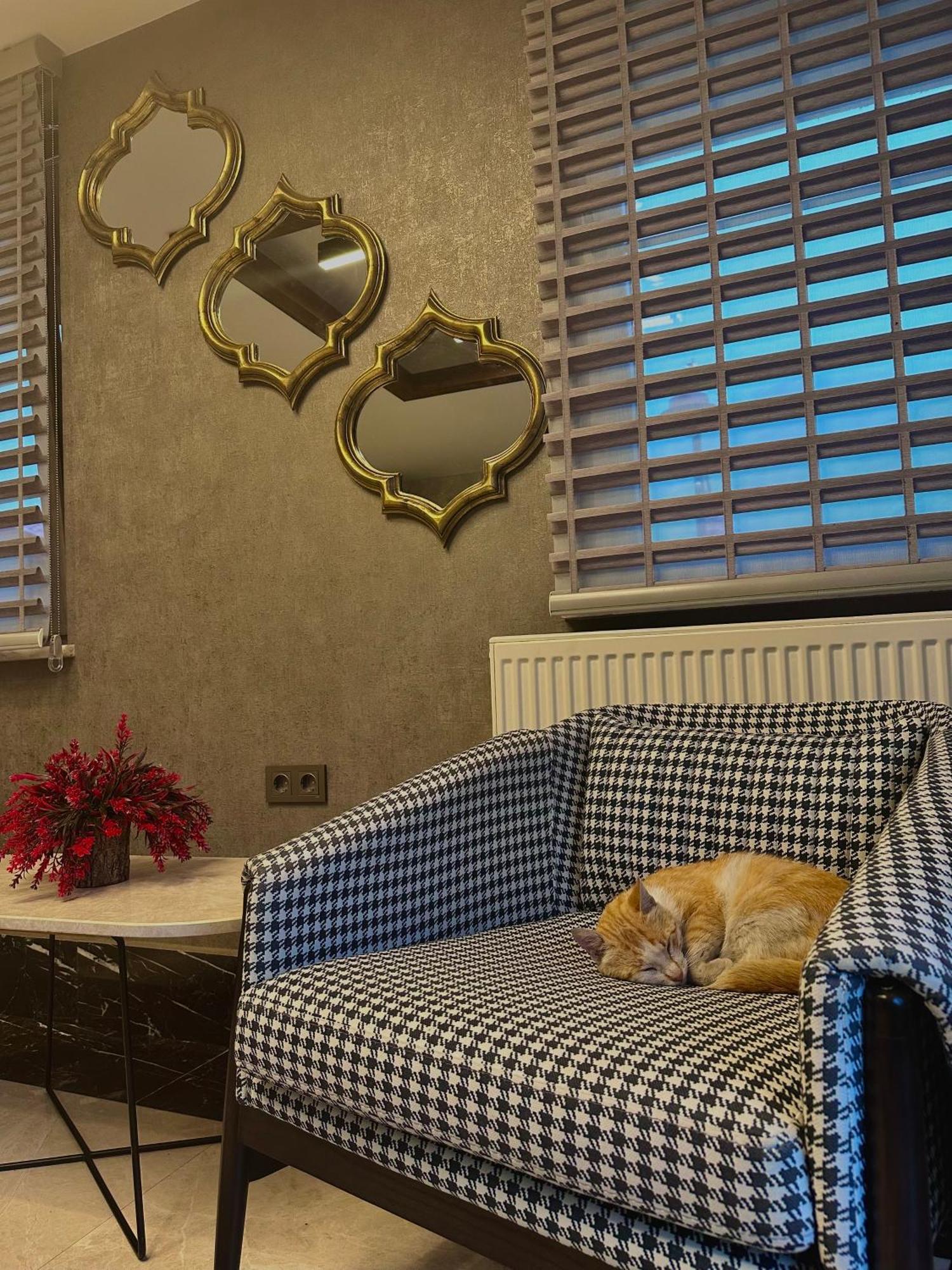 Kaya Life Resort Uzungöl Kültér fotó